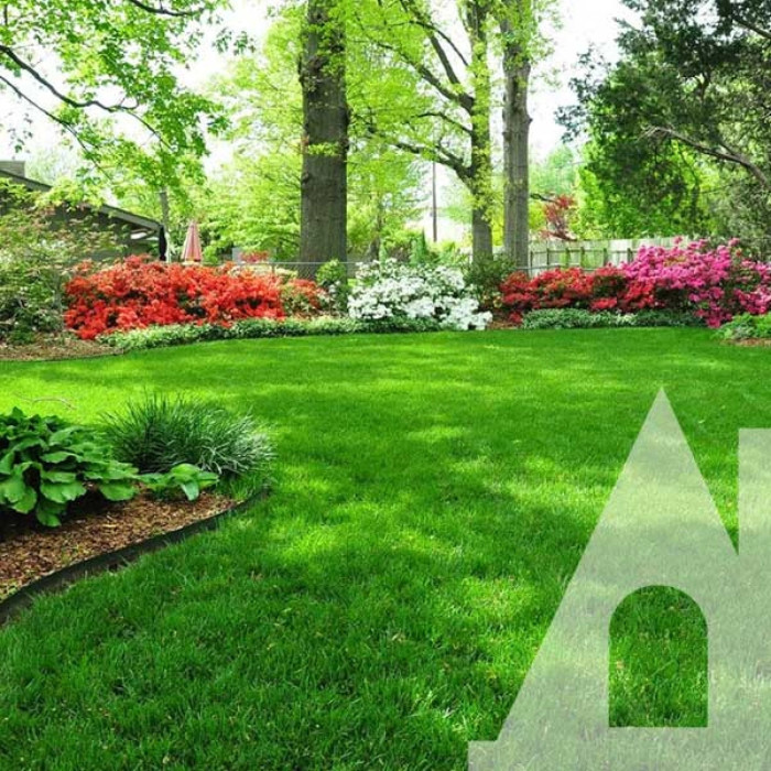 Газонна трава Газон повільновідростаючий, Eurograss 500 г Садиба