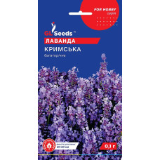 Насіння Лаванда Кримська багаторічна 0,1 г GL Seeds