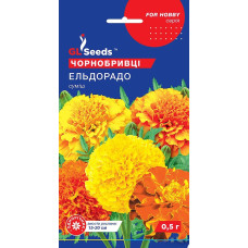Насіння Чорнобривці Ельдорадо суміш 0,5 г GL Seeds