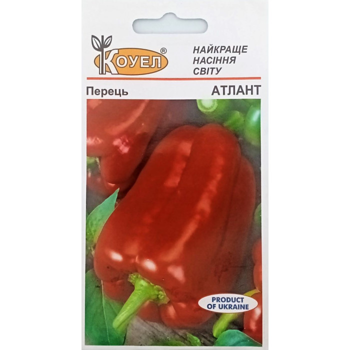 Насіння Перець солодкий Атлант, 0,5 г, Коуел