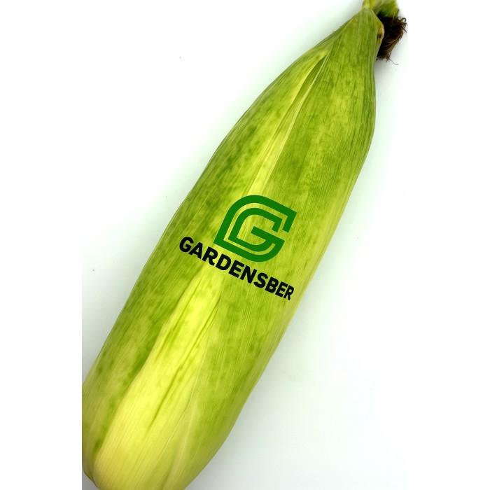 Кукурудза молода 1 шт Gardensber