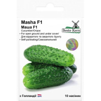 Насіння Огірок самозапильний Маша F1 10 шт Beste Kern