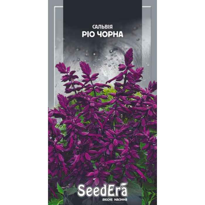 Насіння Сальвія Блискуча Ріо чорна, 0,2 г, Seedera
