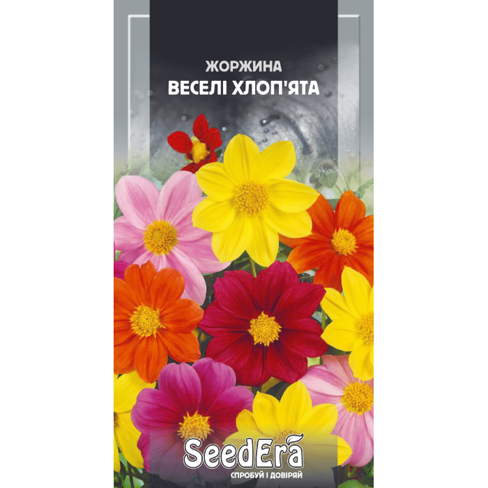 Насіння Жоржина мінлива Веселі Хлоп’ята 0,5 г Seedera