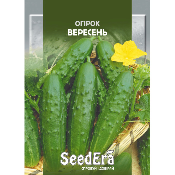 Насіння Огiрок Вересень 10 г Seedera