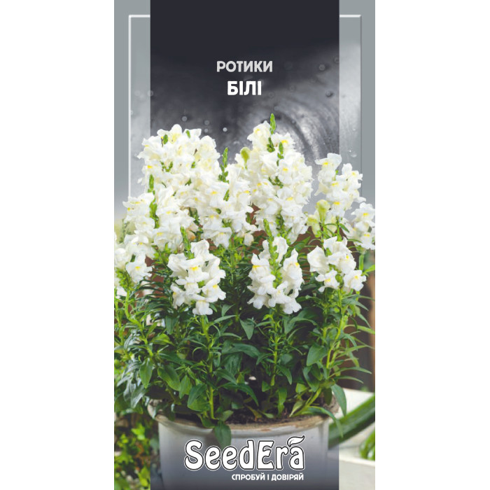 Насіння Ротики садові Білі 0,2 г Seedera