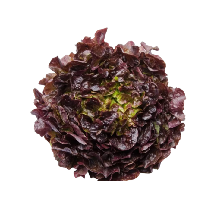 Насіння Салат Редін 0,8 г Тирас Moravo Seed
