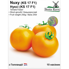 Насіння Томат низькорослий Нуксі F1 (KS 17), 10 шт, Beste Kern