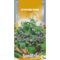 Насіння Огіркова трава Бораго, 1 г, Seedera