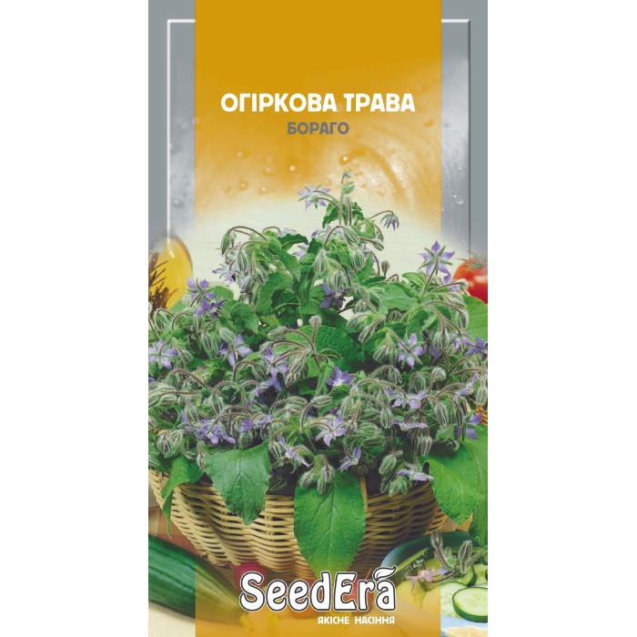 Насіння Огіркова трава Бораго, 1 г, Seedera
