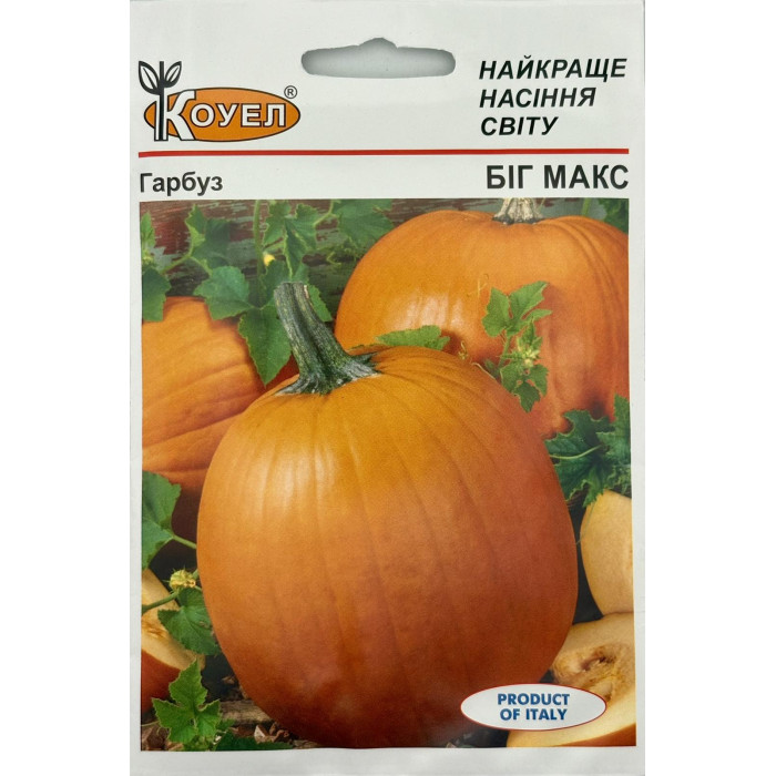 Насіння Гарбуз Біг Макс, 10 г, Коуел
