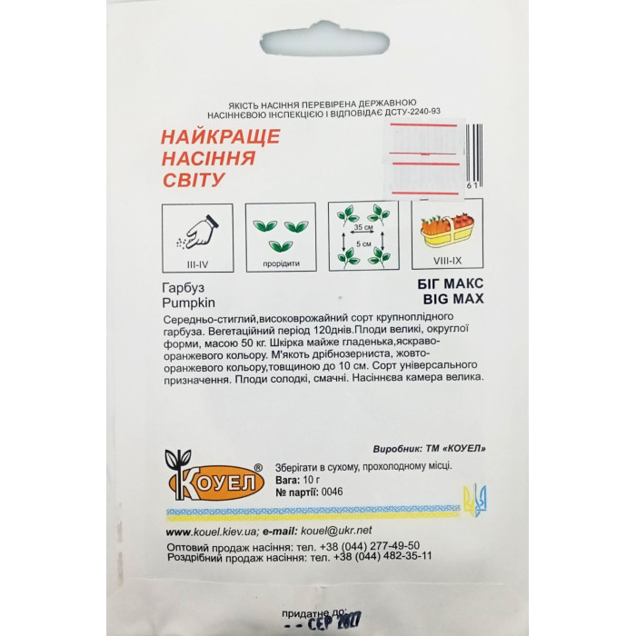 Насіння Гарбуз Біг Макс, 10 г, Коуел