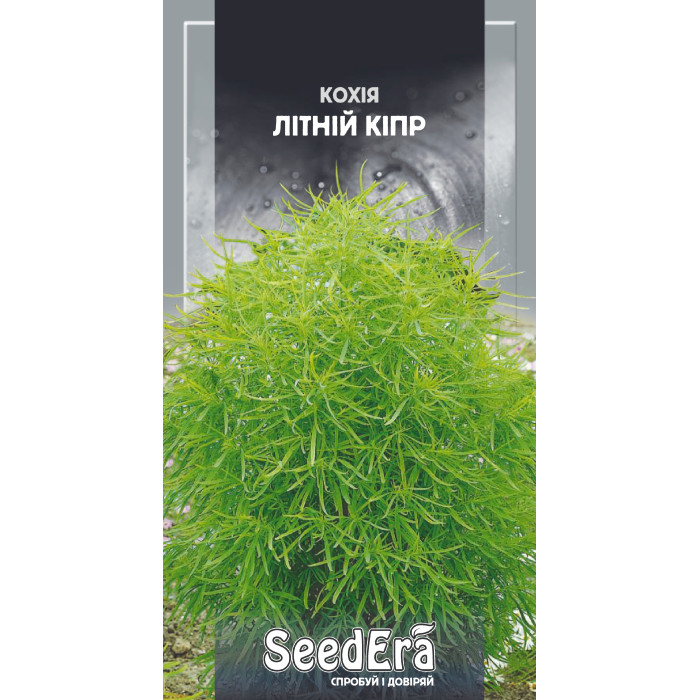 Насіння Кохія Літній Кіпр 0,5 г Seedera