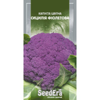 Насіння Капуста цвітна Сицилія фіолетова, 0,5 г, Seedera