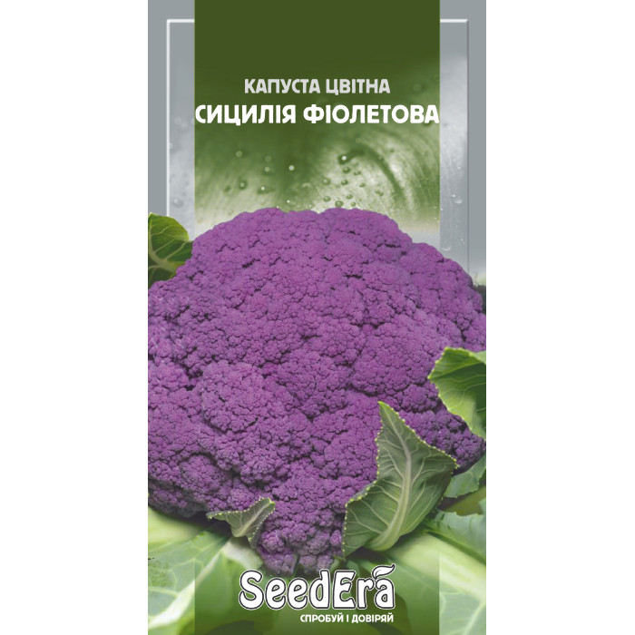 Насіння Капуста цвітна Сицилія фіолетова, 0,5 г, Seedera