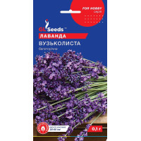 Насіння Лаванда Вузьколиста багаторічна 0,1 г GL Seeds