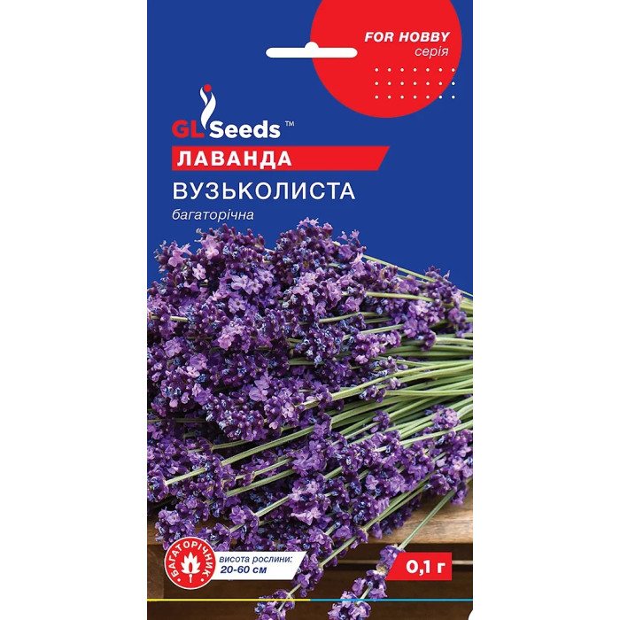 Насіння Лаванда Вузьколиста 0,1 г GL Seeds