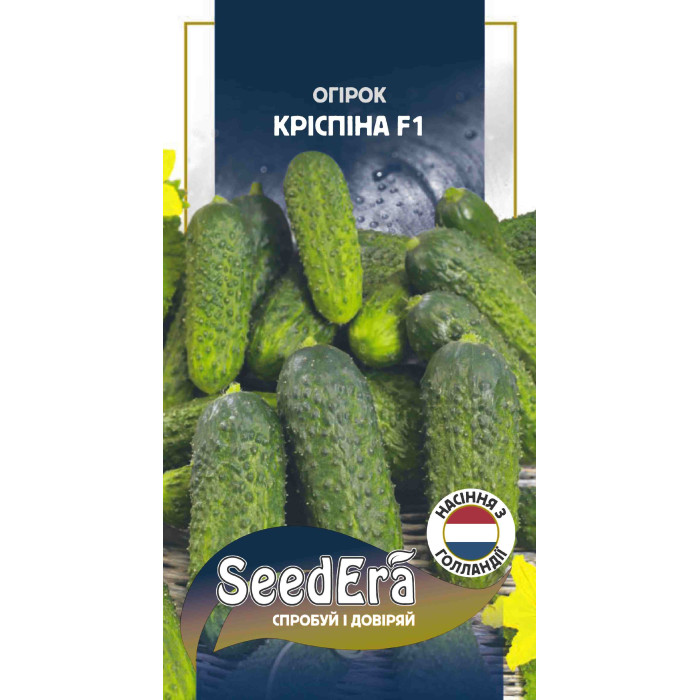 Насіння Огірок самозапильний Кріспіна F1, 10 шт, Seedera